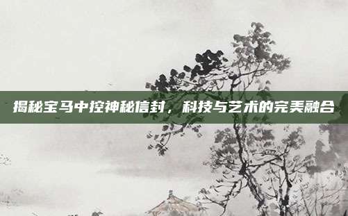 揭秘宝马中控神秘信封，科技与艺术的完美融合