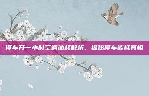 停车开一小时空调油耗解析，揭秘停车能耗真相