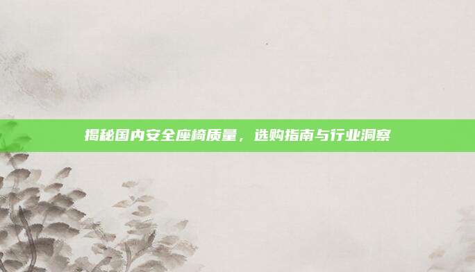 揭秘国内安全座椅质量,选购指南与行业洞察