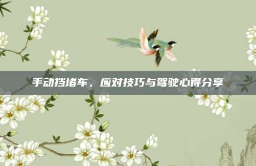 手动挡堵车,应对技巧与驾驶心得分享