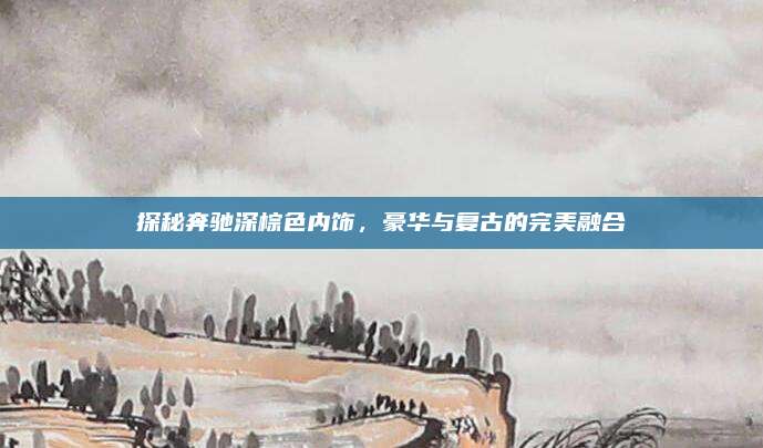 探秘奔驰深棕色内饰,豪华与复古的完美融合