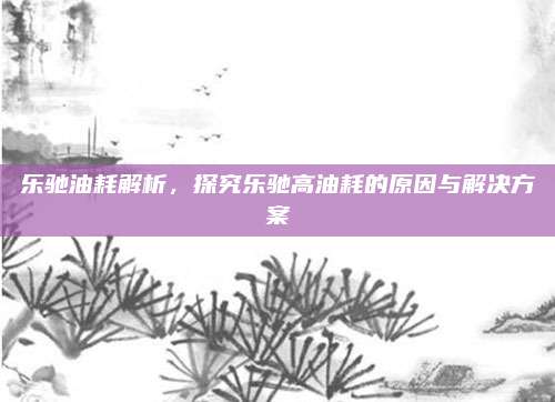 乐驰油耗解析,探究乐驰高油耗的原因与解决方案