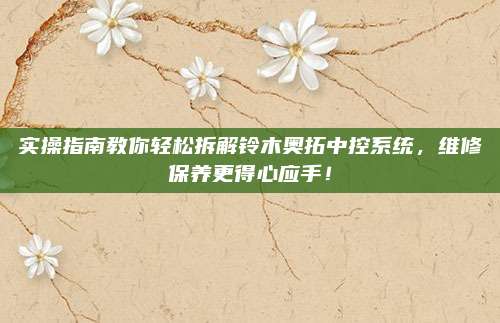 实操指南教你轻松拆解铃木奥拓中控系统,维修保养更得心应手!