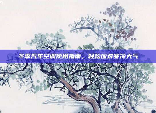 冬季汽车空调使用指南,轻松应对寒冷天气