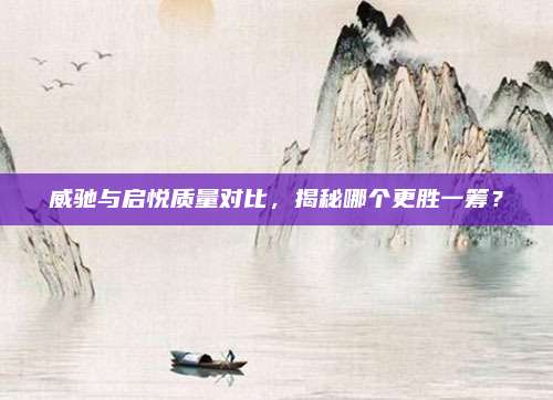 威驰与启悦质量对比,揭秘哪个更胜一筹?