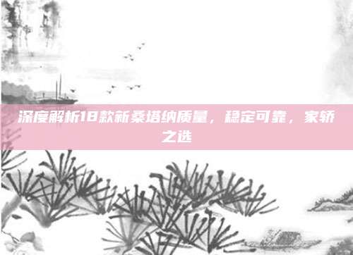 深度解析18款新桑塔纳质量,稳定可靠,家轿之选