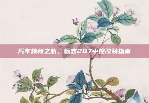 汽车焕新之旅,标志207中控改装指南