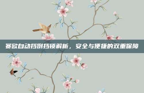 赛欧自动挡倒挡锁解析,安全与便捷的双重保障