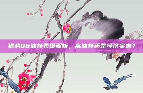 猎豹Q6油耗表现解析,高油耗还是经济实惠?