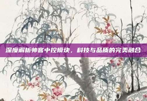 深度解析帅客中控模块,科技与品质的完美融合