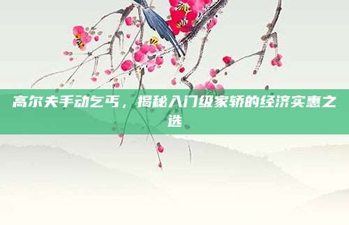 高尔夫手动乞丐,揭秘入门级家轿的经济实惠之选