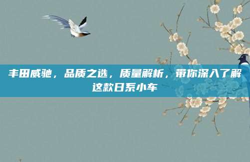 丰田威驰,品质之选,质量解析,带你深入了解这款日系小车
