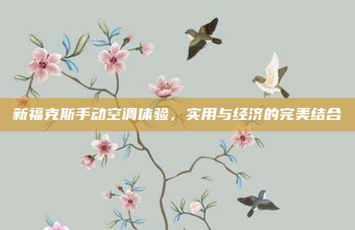 新福克斯手动空调体验,实用与经济的完美结合