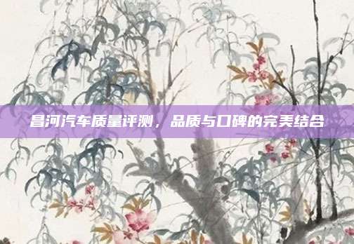 昌河汽车质量评测,品质与口碑的完美结合