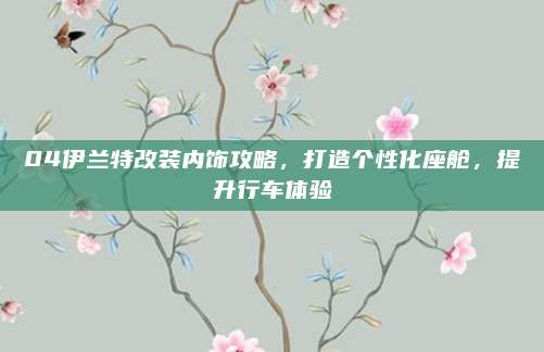 04伊兰特改装内饰攻略,打造个性化座舱,提升行车体验