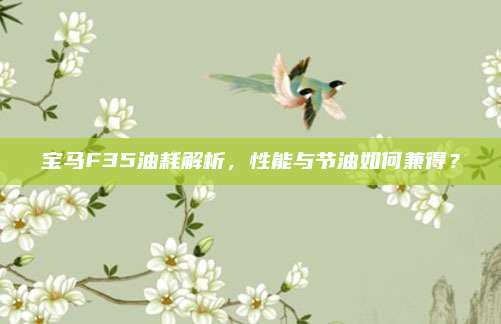 宝马F35油耗解析,性能与节油如何兼得?