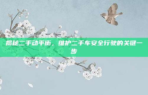 揭秘二手动平衡,维护二手车安全行驶的关键一步