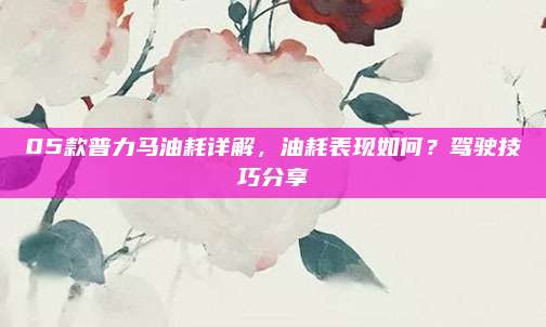 05款普力马油耗详解,油耗表现如何?驾驶技巧分享