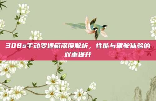 308s手动变速箱深度解析,性能与驾驶体验的双重提升