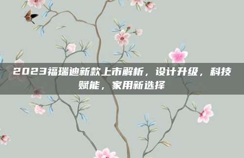 2023福瑞迪新款上市解析,设计升级,科技赋能,家用新选择