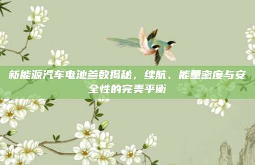 新能源汽车电池参数揭秘,续航、能量密度与安全性的完美平衡