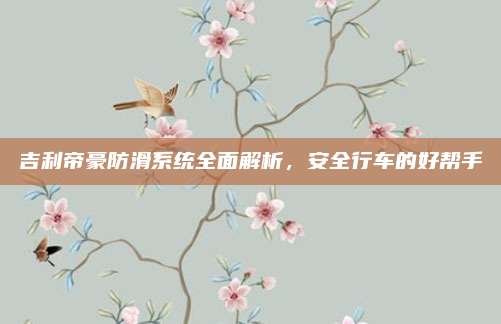 吉利帝豪防滑系统全面解析，安全行车的好帮手