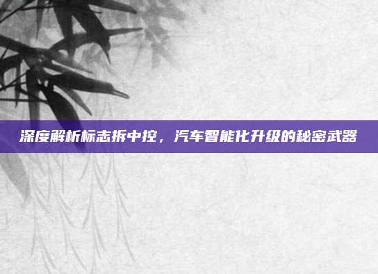 深度解析标志拆中控,汽车智能化升级的秘密武器
