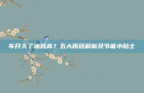 车开久了油耗高?五大原因解析及节能小贴士