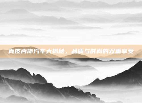 真皮内饰汽车大揭秘,品质与时尚的双重享受