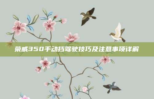 荣威350手动挡驾驶技巧及注意事项详解