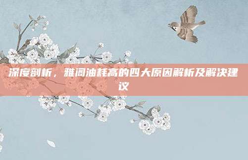 深度剖析，雅阁油耗高的四大原因解析及解决建议
