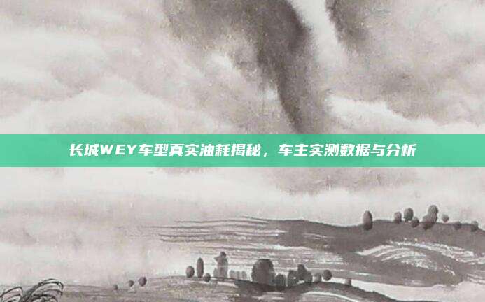 长城WEY车型真实油耗揭秘，车主实测数据与分析