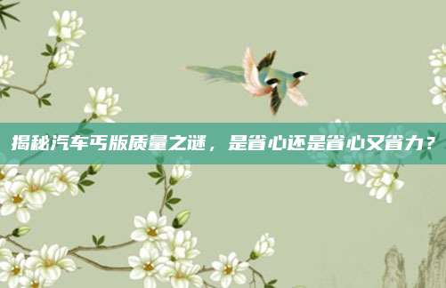 揭秘汽车丐版质量之谜，是省心还是省心又省力？
