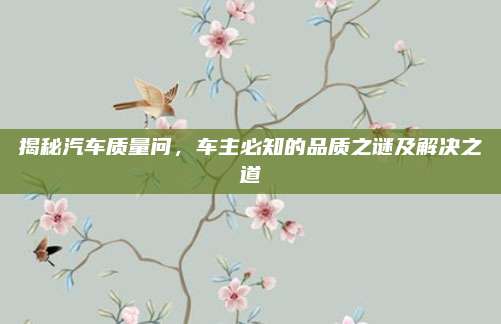 揭秘汽车质量问,车主必知的品质之谜及解决之道
