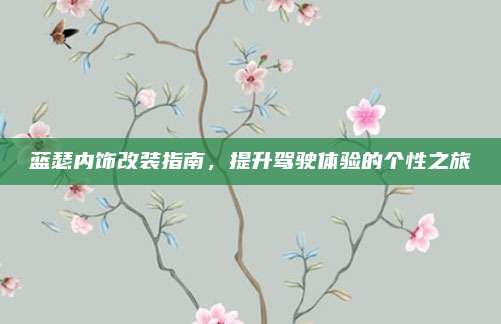 蓝瑟内饰改装指南，提升驾驶体验的个性之旅