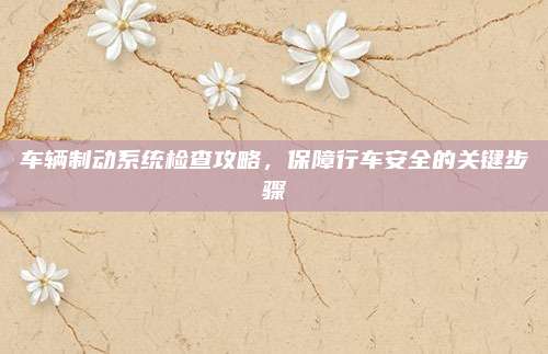 车辆制动系统检查攻略,保障行车安全的关键步骤