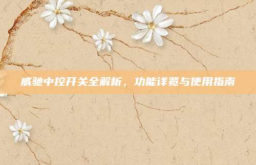威驰中控开关全解析,功能详览与使用指南