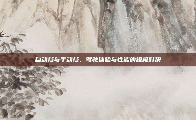 自动档与手动档,驾驶体验与性能的终极对决