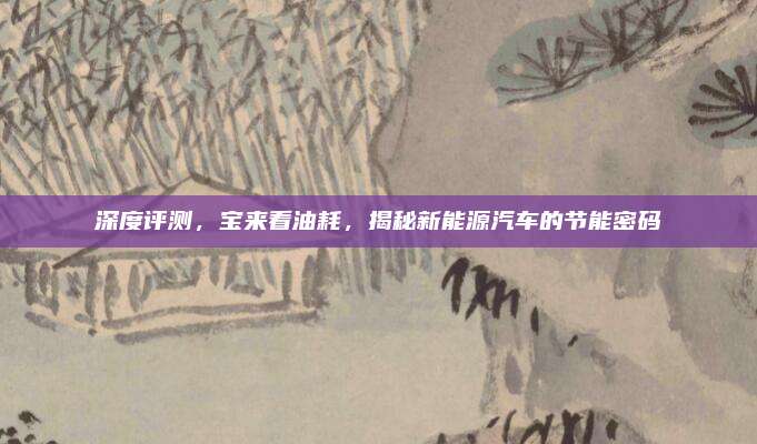 深度评测,宝来看油耗,揭秘新能源汽车的节能密码