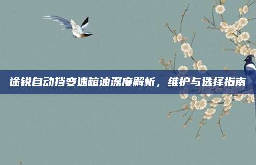 途锐自动挡变速箱油深度解析,维护与选择指南