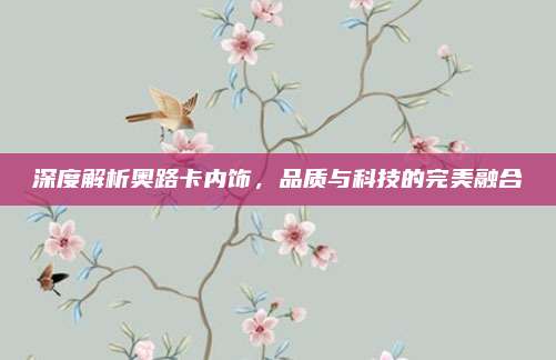 深度解析奥路卡内饰，品质与科技的完美融合