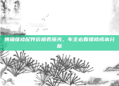 博瑞维修配件价格表曝光,车主必看维修成本分析