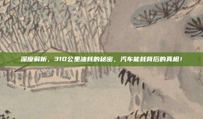深度解析,310公里油耗的秘密,汽车能耗背后的真相!