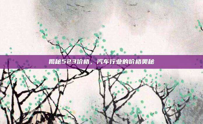 揭秘523价格，汽车行业的价格奥秘