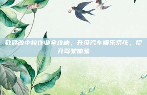 致胜改中控作业全攻略,升级汽车娱乐系统,提升驾驶体验