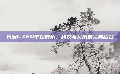 长安CX20中控解析，科技与实用的完美结合