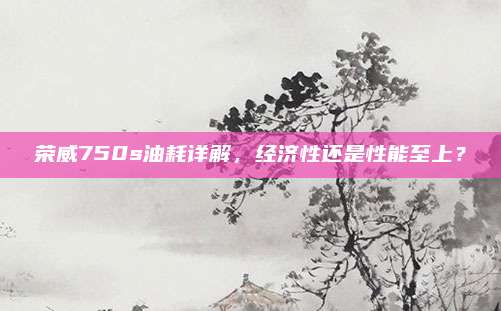 荣威750s油耗详解,经济性还是性能至上?