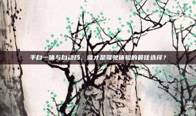 手自一体与自动挡,谁才是驾驶体验的最佳选择?