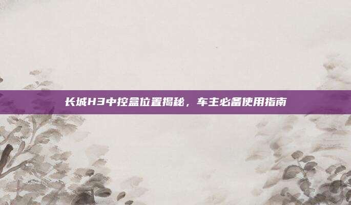 长城H3中控盒位置揭秘,车主必备使用指南
