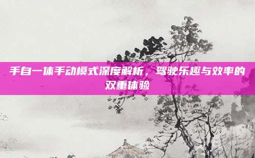 手自一体手动模式深度解析,驾驶乐趣与效率的双重体验